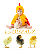 Affiche thématique poupons-Les oiseaux