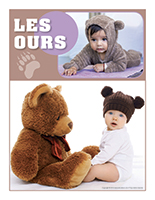 Affiche thématique poupons-Les ours