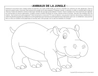 Animaux de la jungle