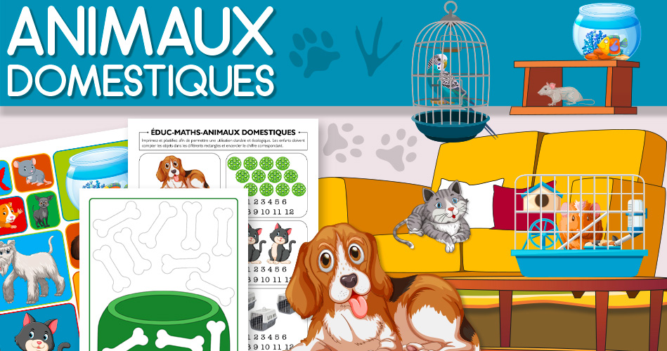 Coloriage des animaux domestiques : le chat