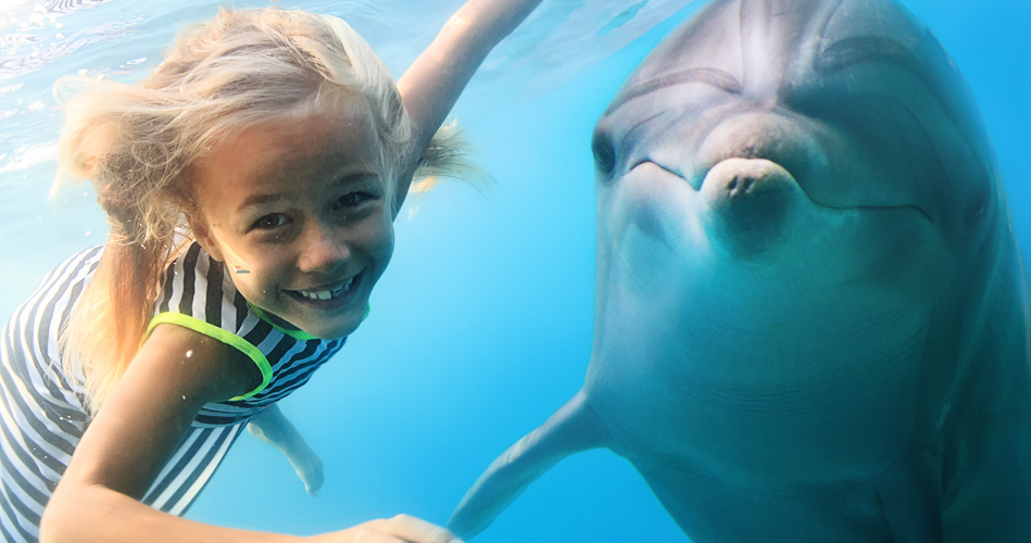 Mobile pour bebe les animaux de la mer — Ma Zone Québec