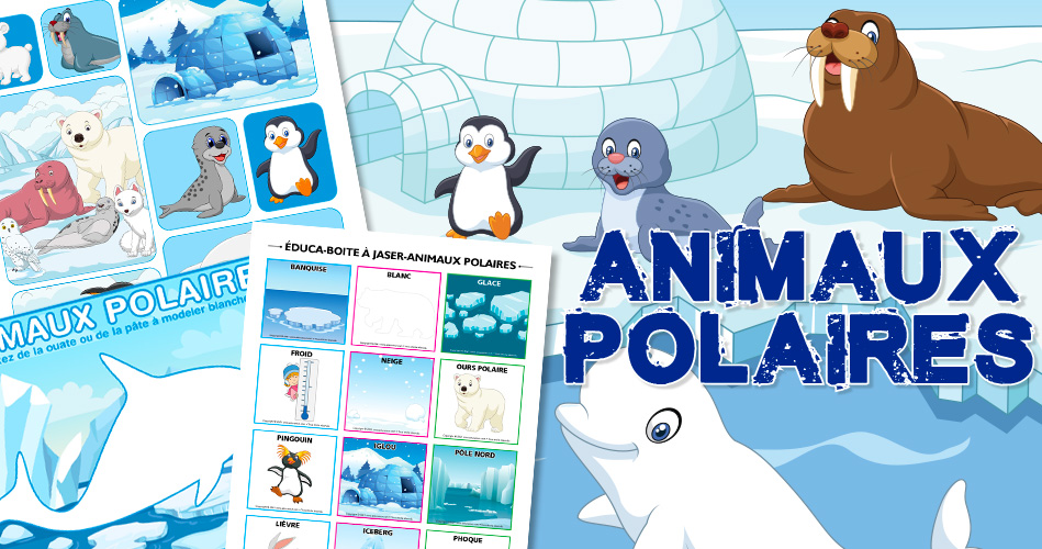 Animaux polaires