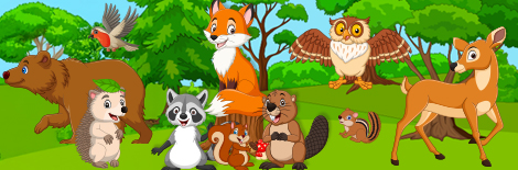Les animaux sauvages