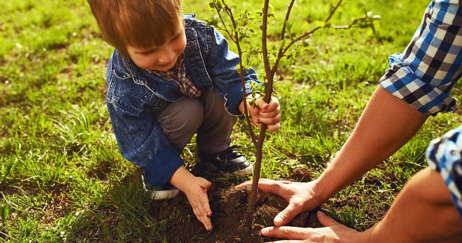 Appelez le printemps