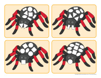 Araignees-formes