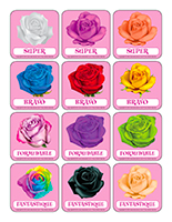 Autocollants pour récompenses-Saint-Valentin-Les roses Autocollants pour récompenses-Saint-Valentin-Les roses
