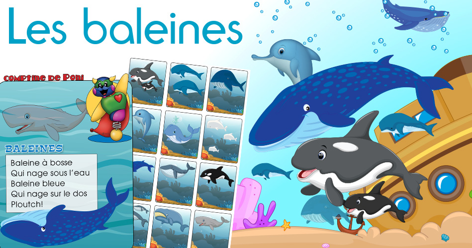 Baleines