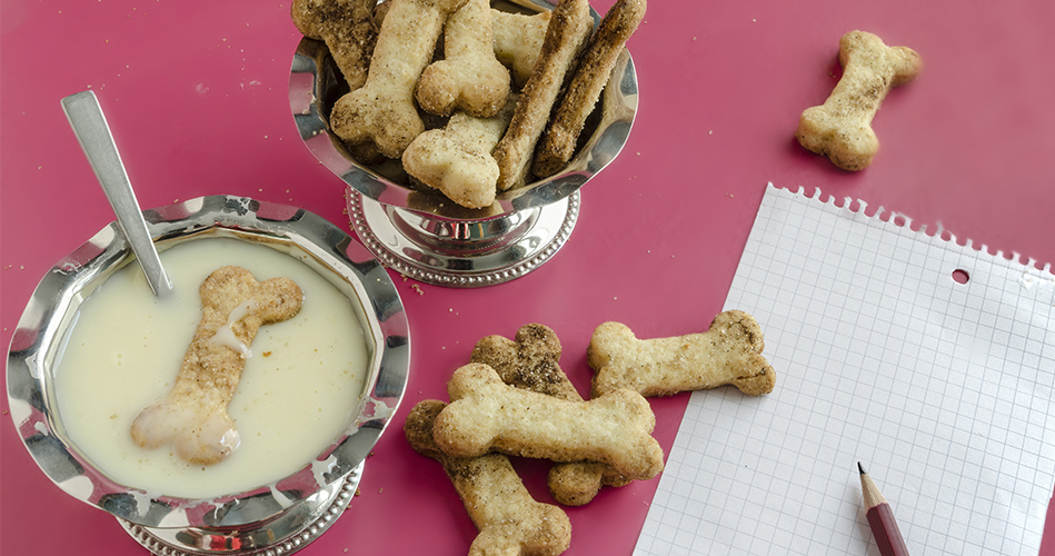 Biscuits pour chiens