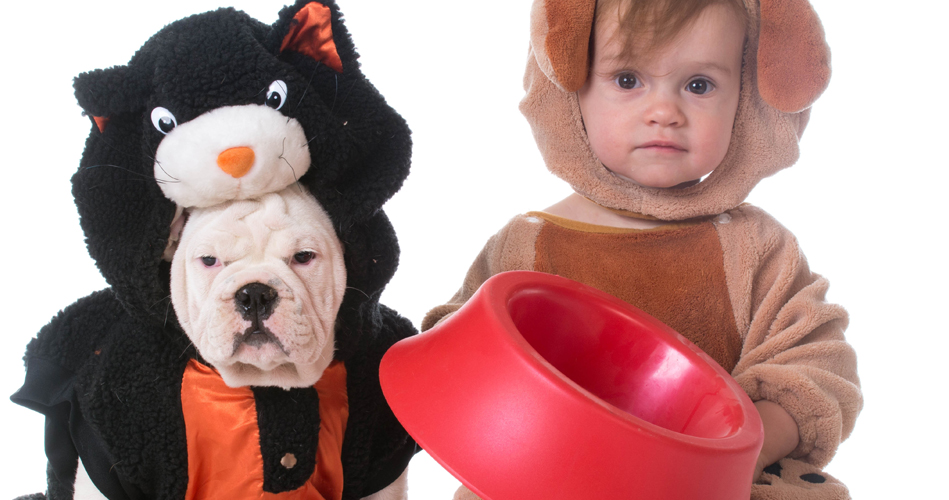 Bol pour chiens en peluche