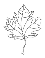 Bricolage - La famille feuilles d'érable