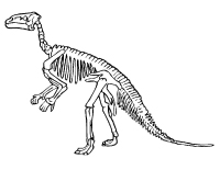 Les Dinosaures Activités Pour Enfants Educatout