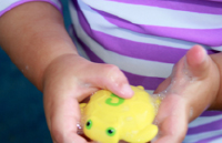 Cache-tortues-6 Cache-tortues-6