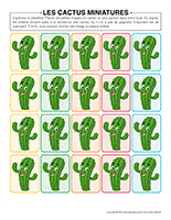 Cactus miniatures