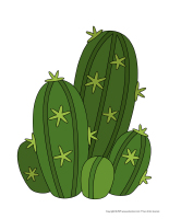 Cactus varies