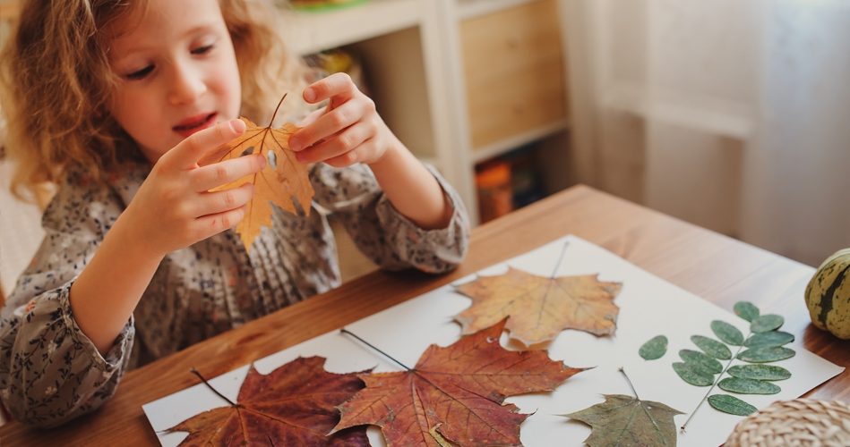 Cadre d'automne avec surprise