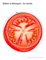 Cahier à découper-Le cercle-2