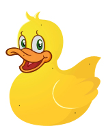 Canard à lacer Canard à lacer