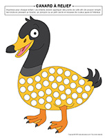 Canard a relief