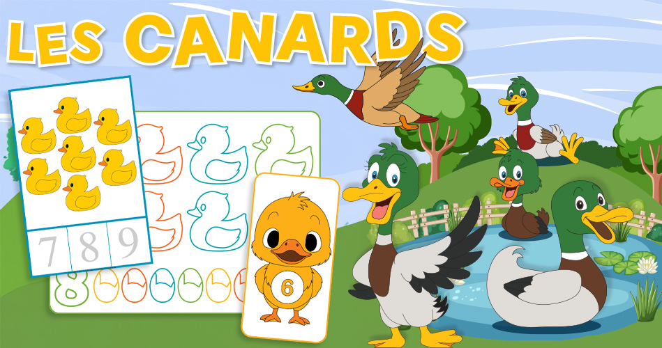 Canards