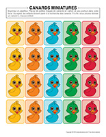 Canards miniatures
