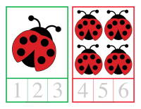 Cartes a compter-Coccinelles-1