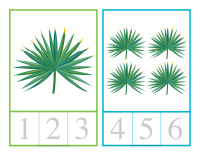 Cartes à compter-Pays chauds-1