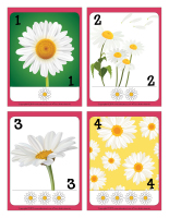 Cartes à jouer-Marguerites-1