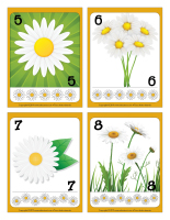 Cartes à jouer-Marguerites-2