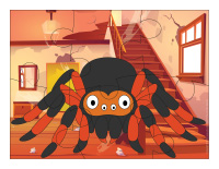 Casse-tetes-Araignees-1