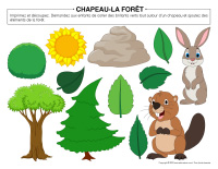 Chapeau-Forêt