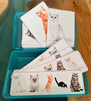 Chaque chat a sa place-3