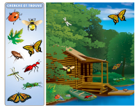 Cherche et trouve - Insectes Cherche et trouve - Insectes