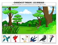 Cherche et trouve-Les oiseaux