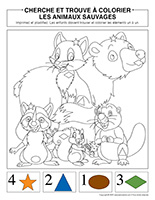 Cherche et trouve à colorier-Animaux sauvages