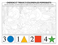 Cherche et trouve a colorier-Perroquets