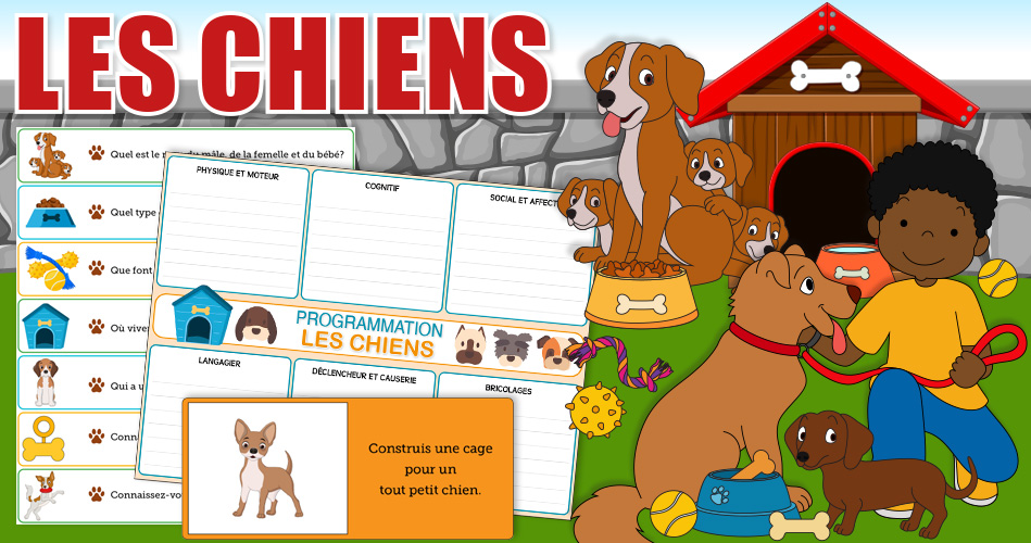 Empreintes chats & chiens - Livres sur les Animaux