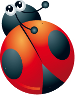 Coccinelles à enfiler