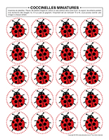 Coccinelles-miniatures