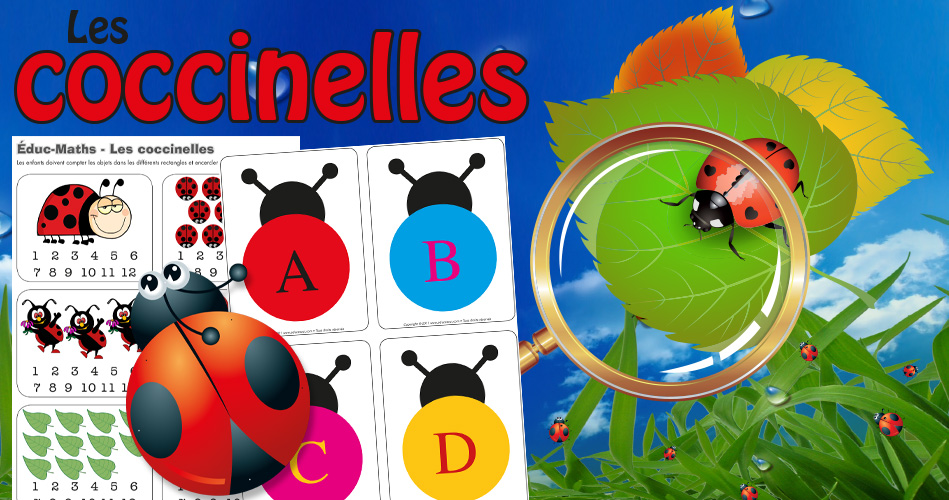 Coccinelles