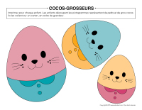 Cocos grosseurs