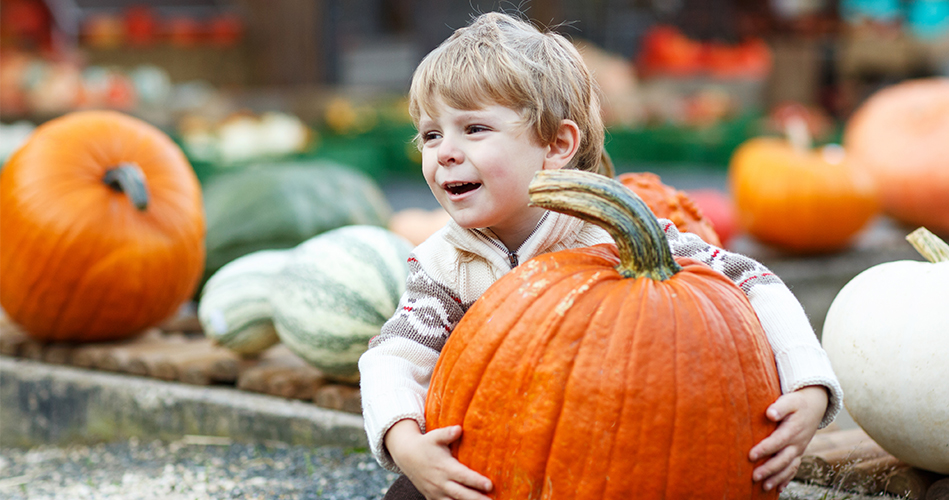 Collation sur le thème des citrouilles