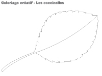 Coloriage-créatif - Les coccinelles