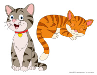 Concepts spatiaux-Chats