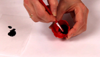 Coquelicot-8 Coquelicot-8