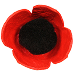 Coquelicot-image-1