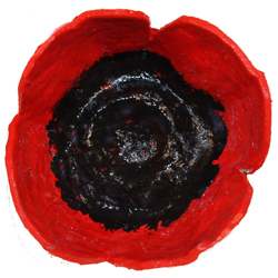 Coquelicot-image-2