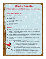 Créa-recette-Décorations de Noël pour les oiseaux