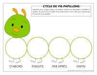 Cycle de vie Papillons