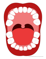 Dents primaires