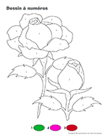 Dessin à Numéros-Saint-Valentin-Les roses Dessin à Numéros-Saint-Valentin-Les roses